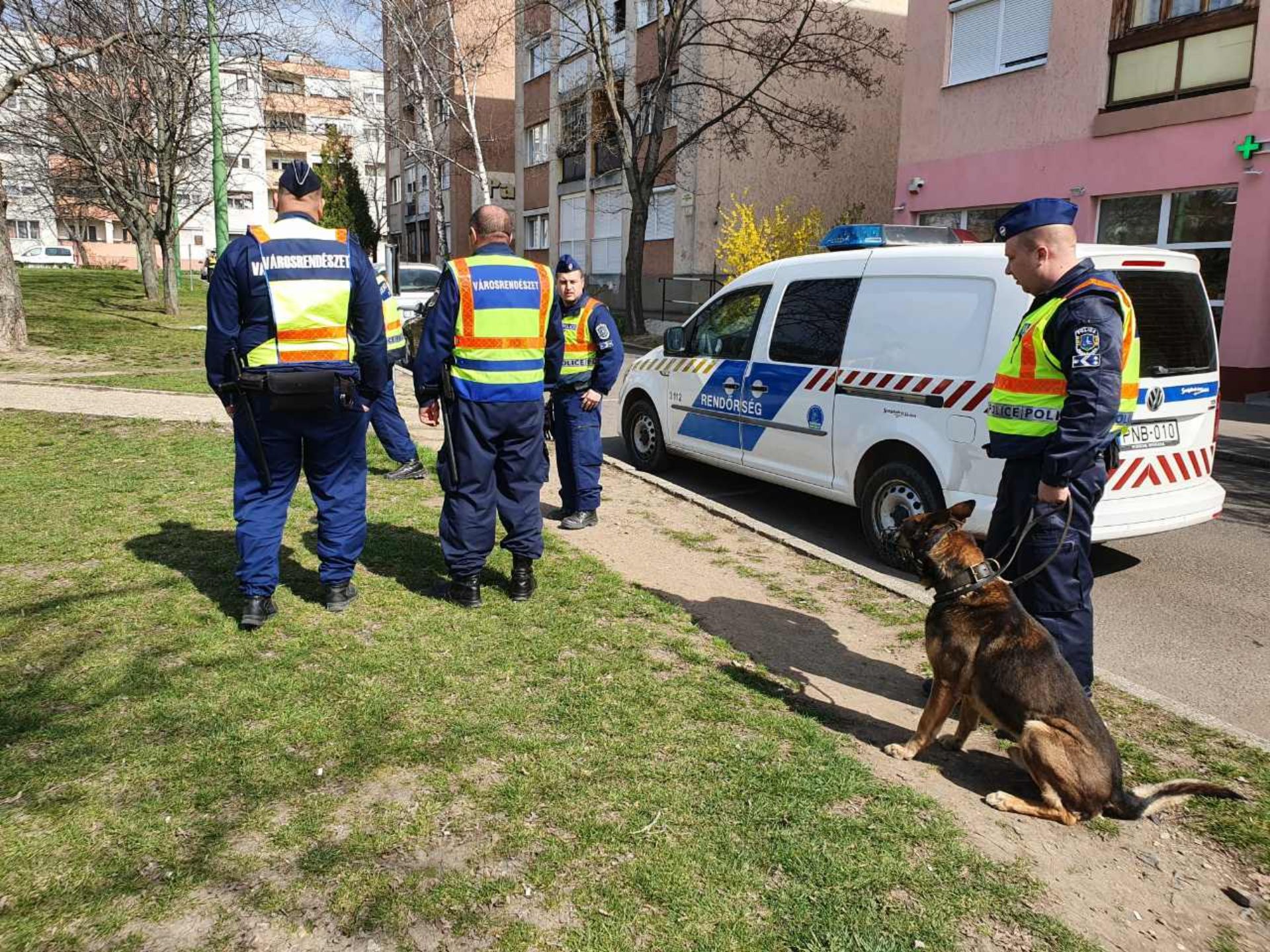 Rendőrkutya járőrözik a buszpályaudvaron Gyöngyös Ma