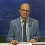 35 kutyát mentettek meg a biztos haláltól