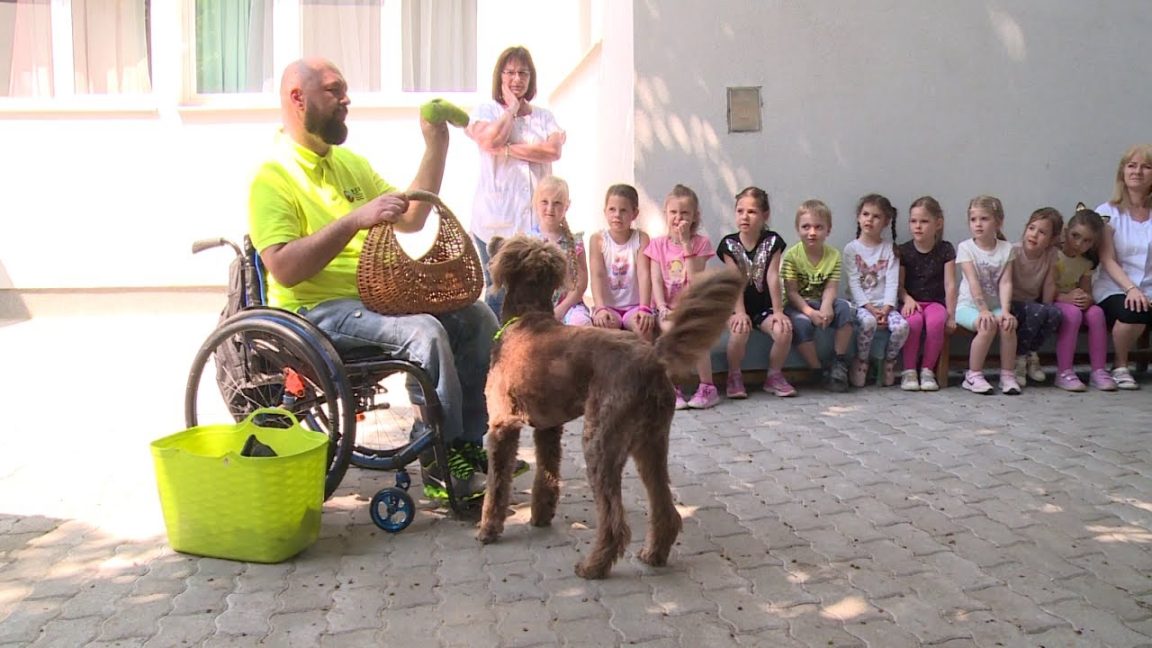 Kutyás bemutató - érzékenyítő programot tartottak ovisoknak!