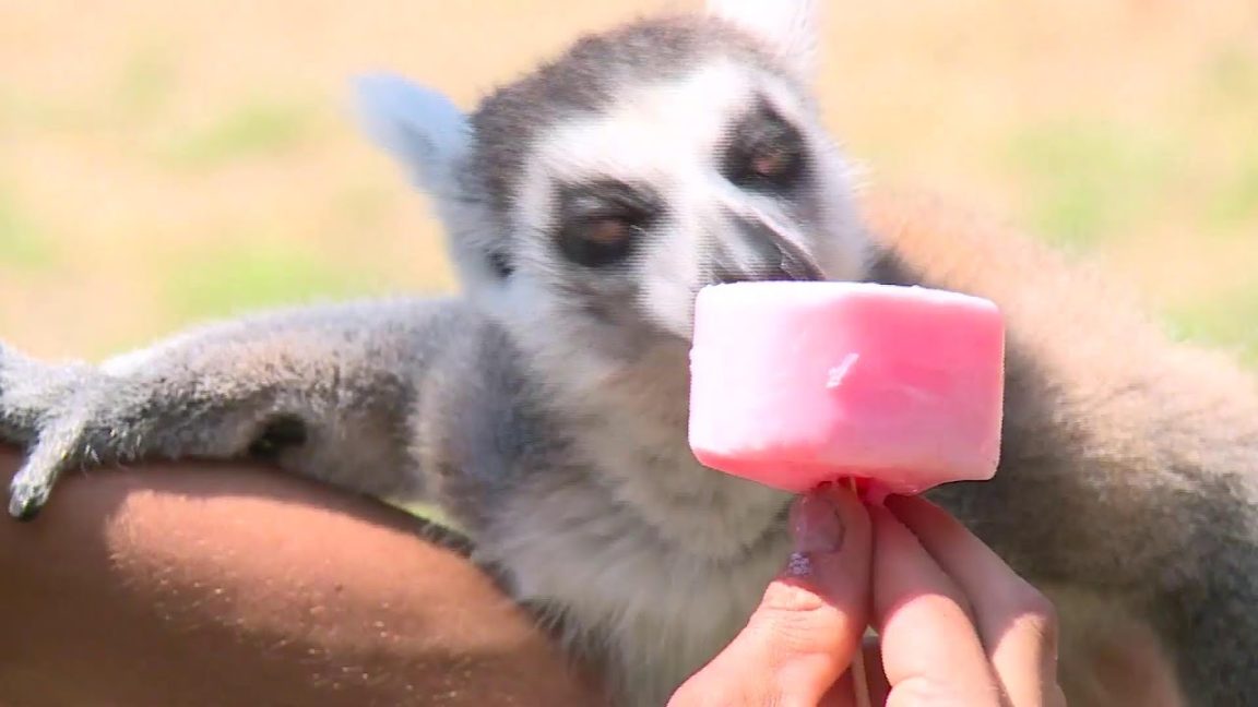 Novemberben készülhet csak el a Nagy-patak-híd