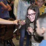 Állatok, egészség, sport, családi- és gyermekprogramok – rendezvénykavalkád Gyöngyösön