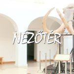 Mátrai Brunó, a mamut története