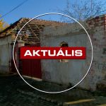 Hiába menekítették ki a kutyákat Dolly menedzserének házából, az utcában azóta sincs nyugalom