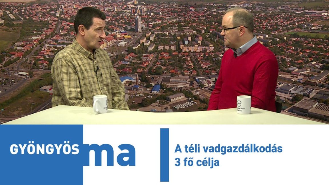 "A vadállomány alapvetően nincs az emberre szorulva"