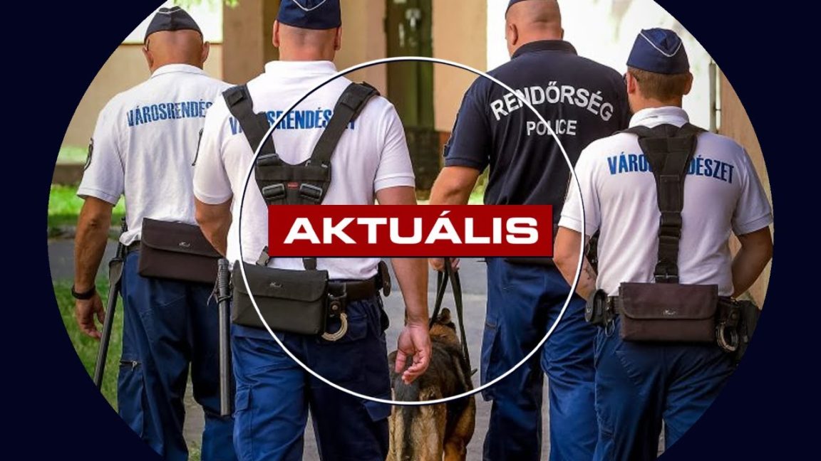 Egy éjszaka alatt negyed millió forint helyszíni bírság