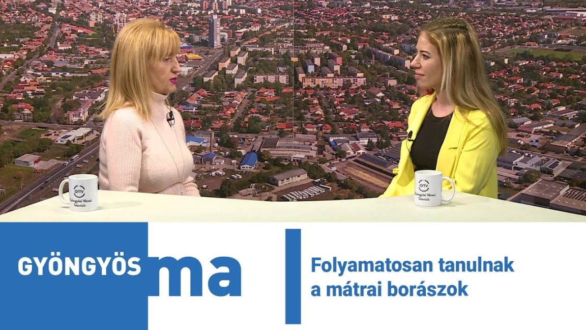 Folyamatosan tanulnak a mátrai borászok