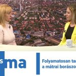 Folyamatosan tanulnak a mátrai borászok