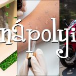 Felelős állattartás, allergia, motoros szezon – tavaszi témákat járunk körül!