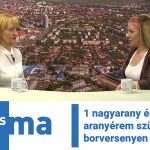 1 nagyarany és 41 aranyérem született a borversenyen