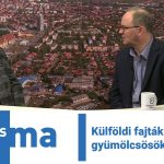 Külföldi fajták a magyar gyümölcsösök helyett