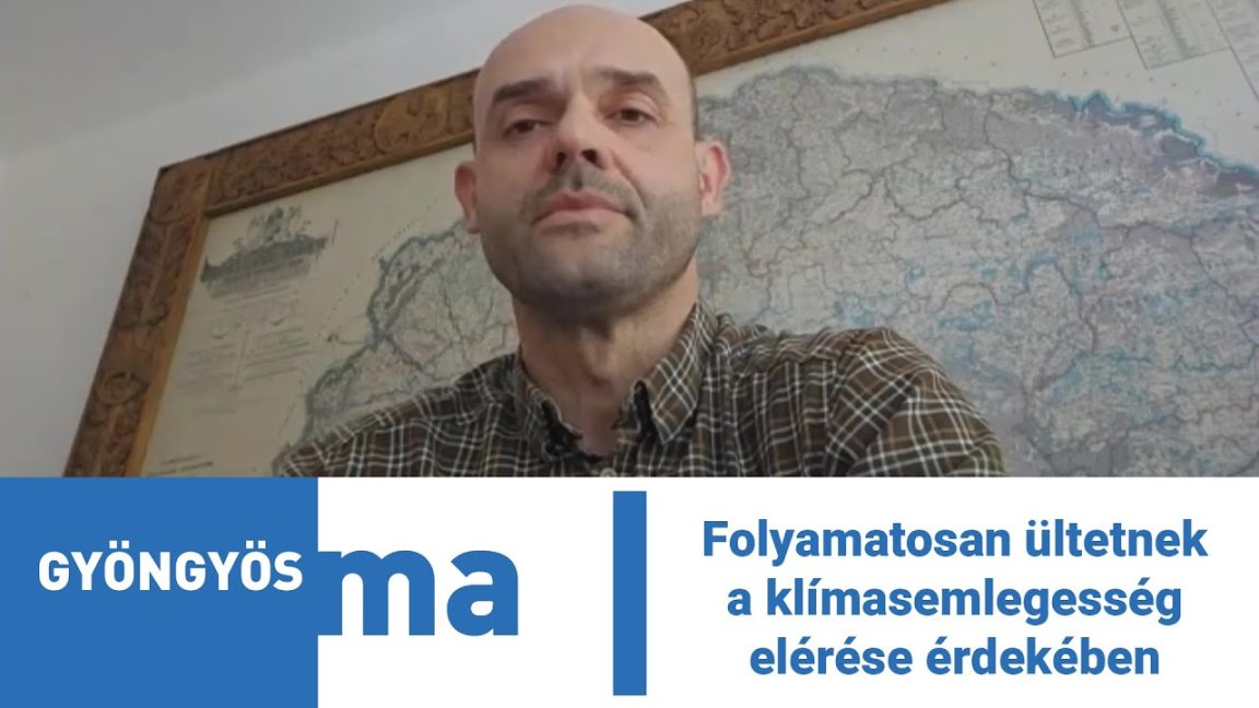 Folyamatosan ültetnek a klímasemlegesség elérése érdekében