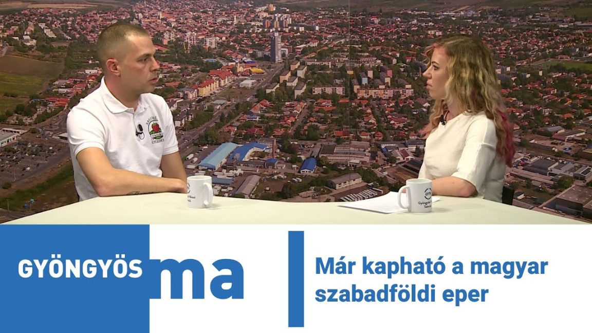 Már kapható a magyar szabadföldi eper