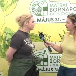 Honeybeast interjú, élőben a Bornapokról!