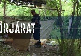 Újabb bunkerre akadtunk a Sárhegyen