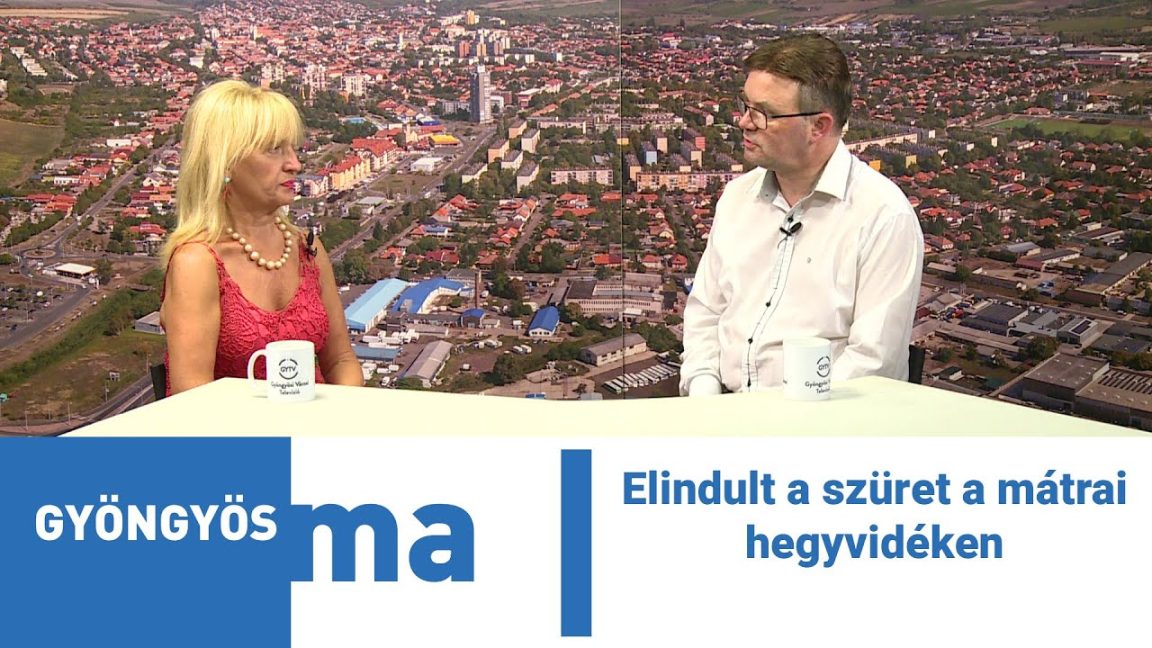 A mátrai hegyvidéken is elindult a szüret