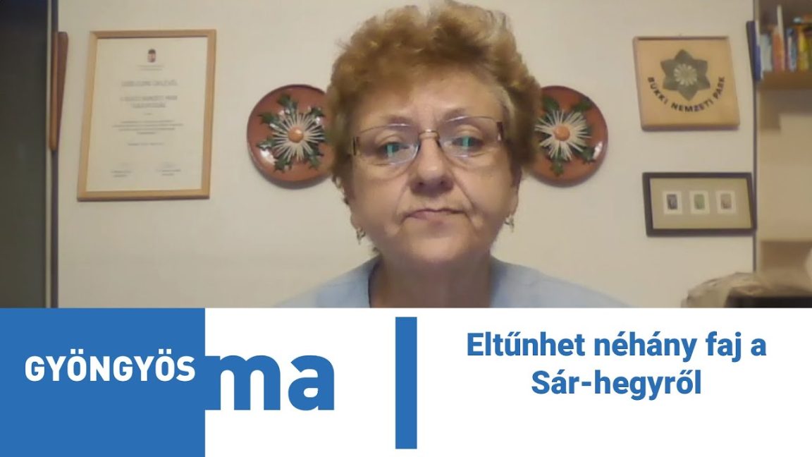 Eltűnhet néhány faj a Sár-hegyről