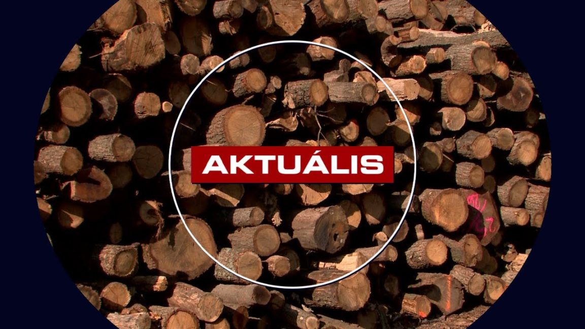 Kezdetét veszi a szociális tűzifaprogram