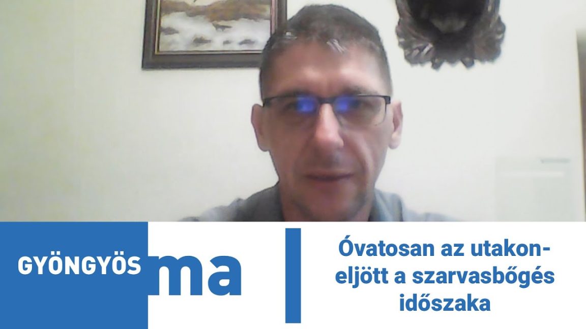 Óvatosan az utakon- eljött a szarvasbőgés időszaka