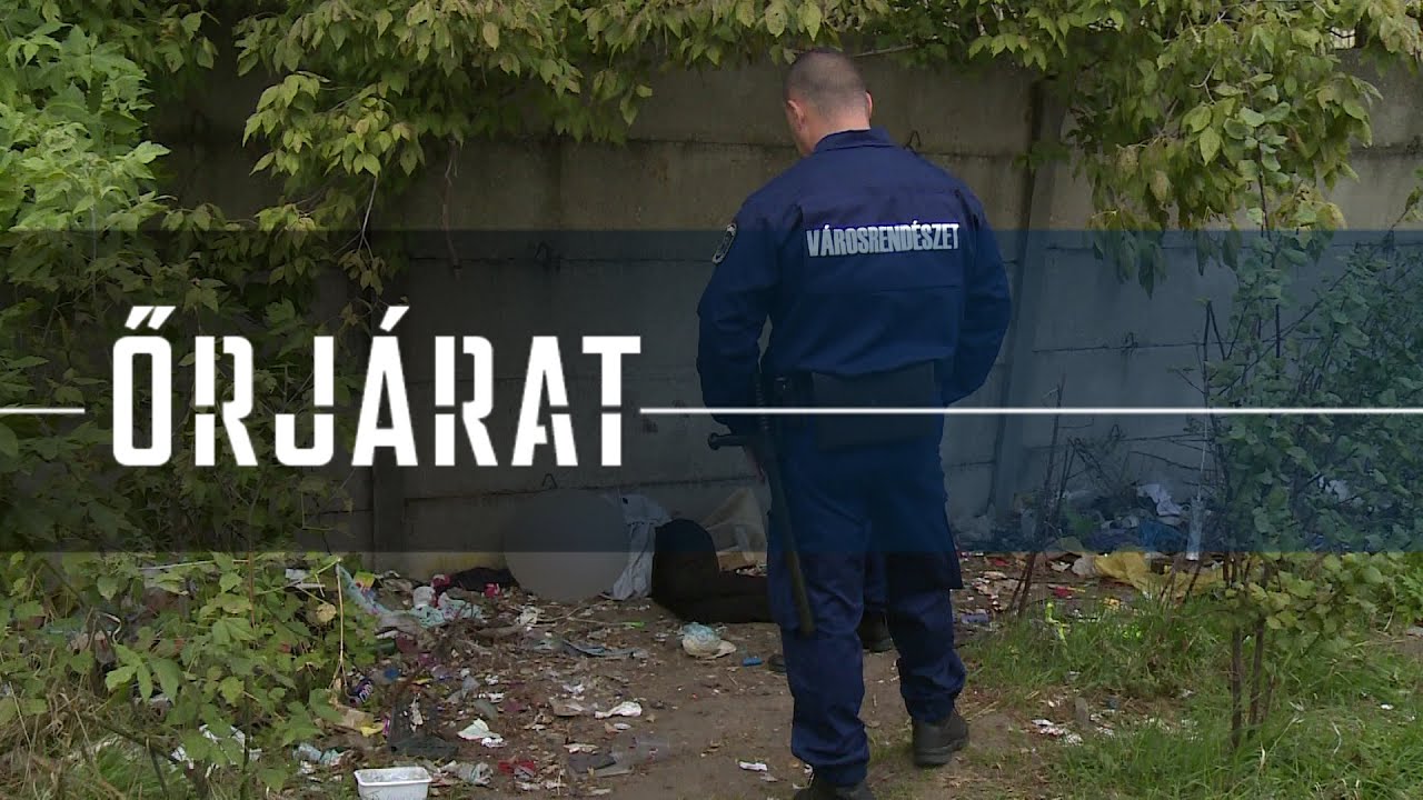 A bozótosban bujkáltak
