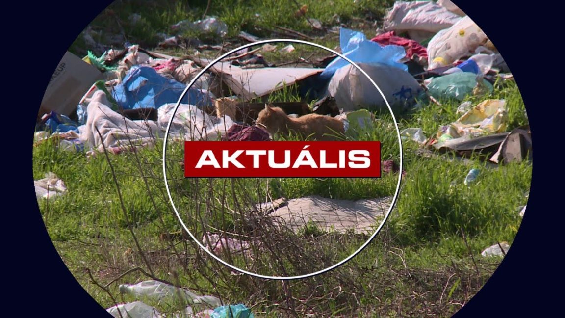 Nincs működő modell és pozitív példa, hogyan lehetne felszámolni egy romatelepet