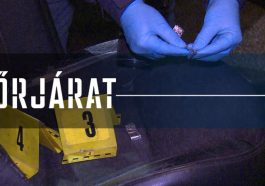 Razzia - drogos sofőr és körözött férfi akadt horogra