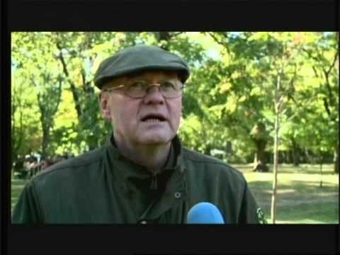 GyTv Aktuális 2013-10-07