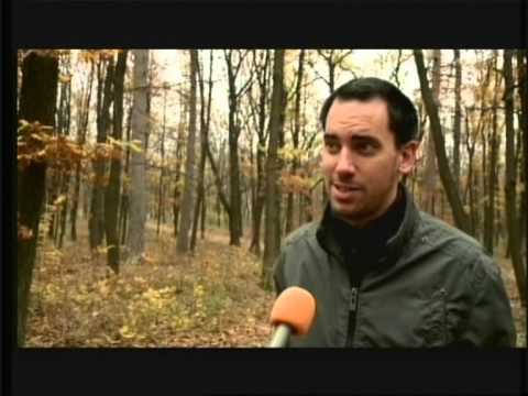 GyTv Aktuális 2013-11-15