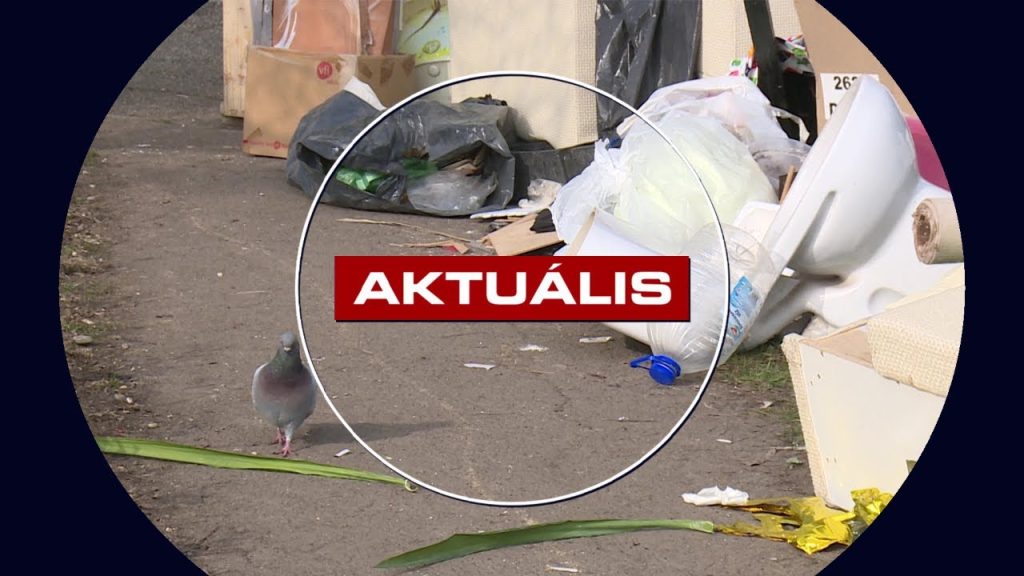 Lomtalanítás – bírságolt a városrendészet