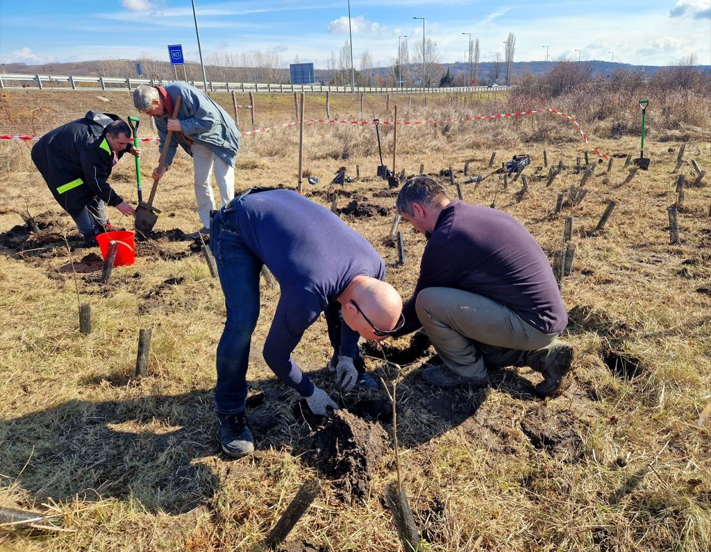 Zöld Jövőért: gyöngyösiek Egerben is ültettek fát