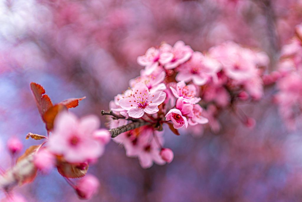 A természet csodás ajándéka (galéria)