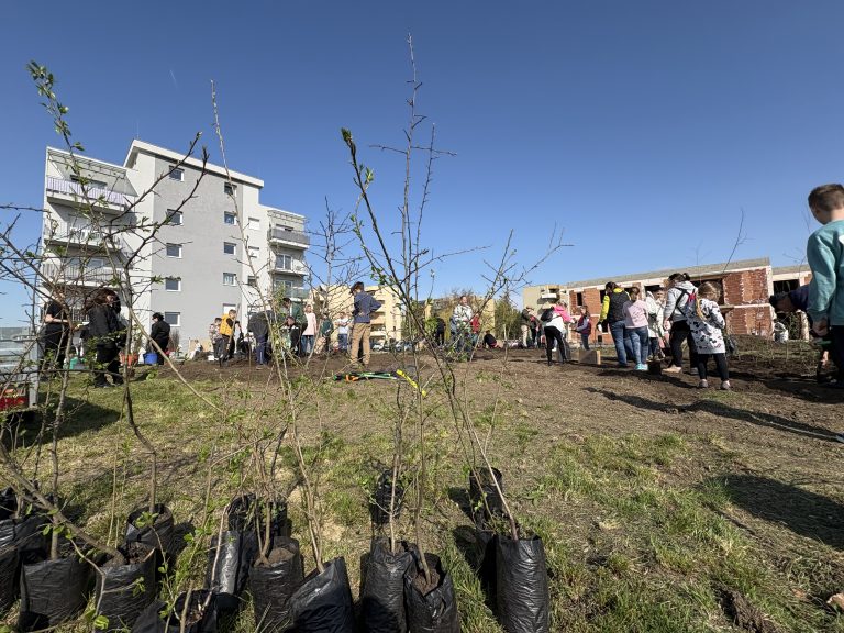 Zöld mérföldkő Gyöngyösön: elültették az első Miyawaki minierdőt
