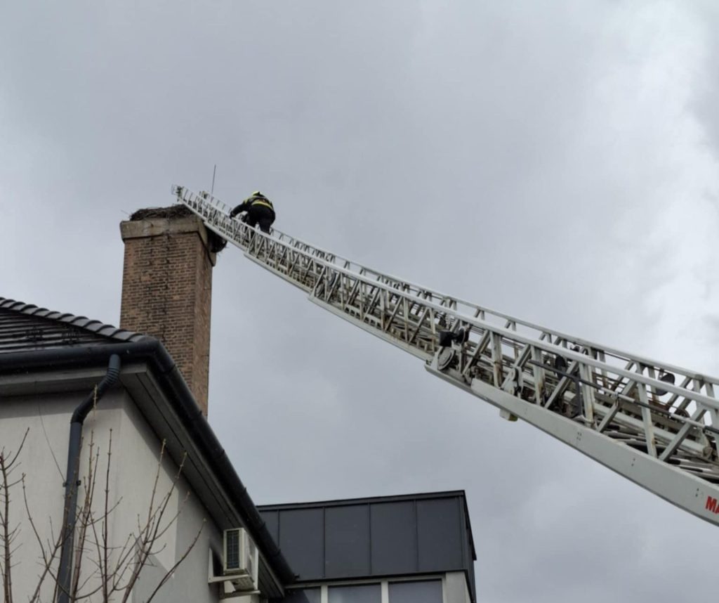 Létrával mentették meg a gólyát (galéria)