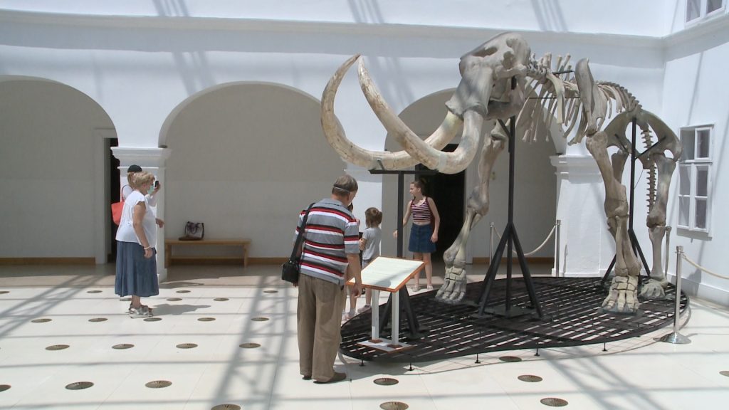 Kincskereső kaland a Mátra Múzeumban