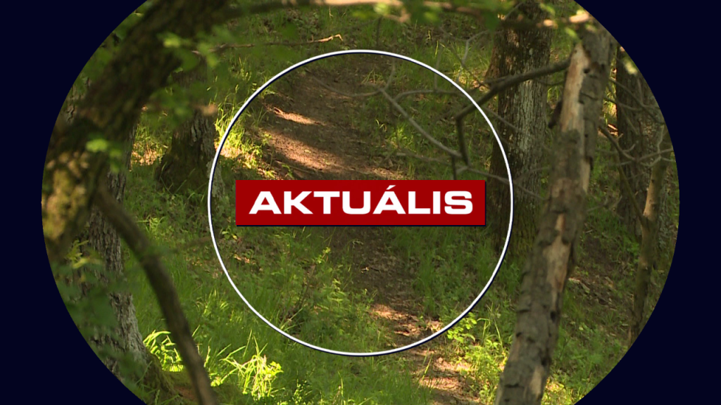 Illegális terepmotorosok hoznak veszélyt a Mátra élővilágára (Aktuális – 2025.05.28.)