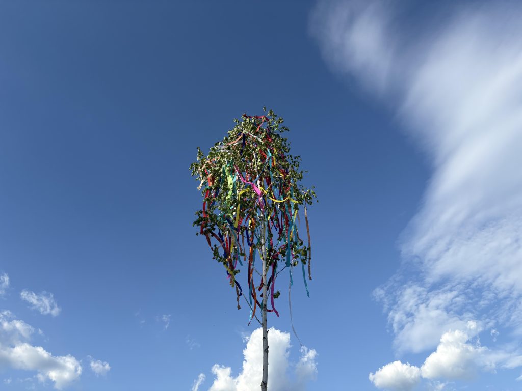 Májusfa áll – a hagyomány él!