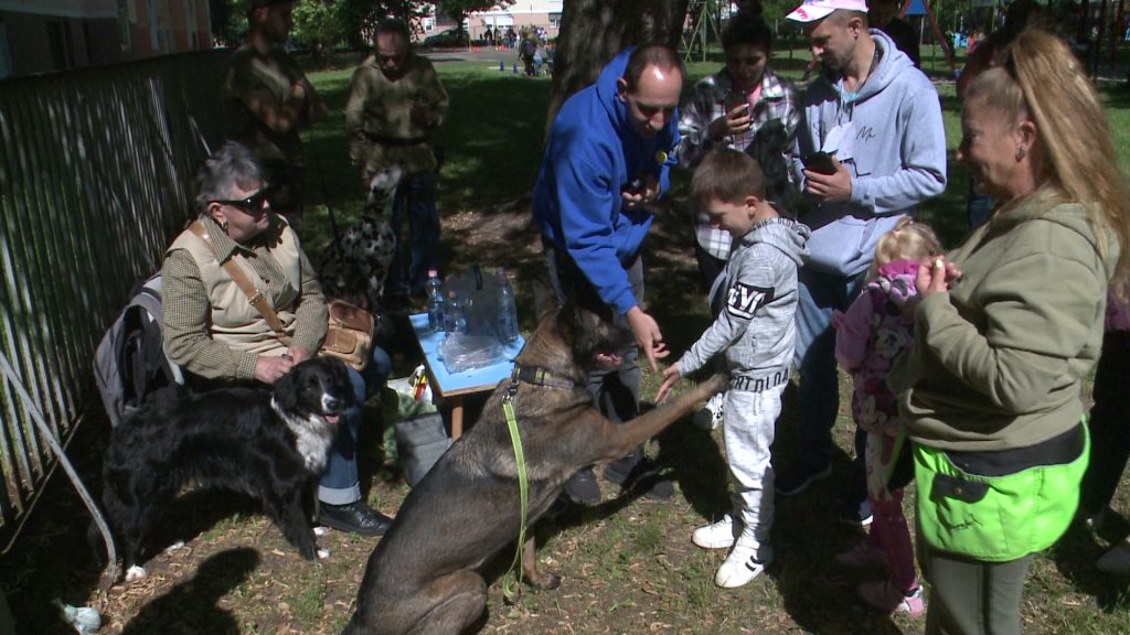 Madarak és Fák napja a Tündérkert Tagóvodában