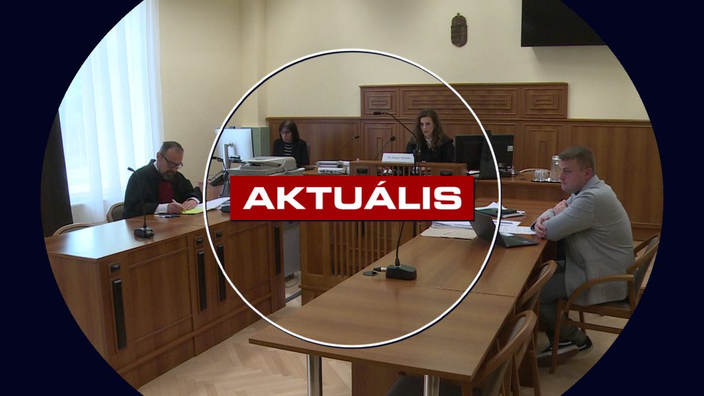 Állatkínzásért felel Dolly menedzsere (Aktuális – 2025.05.29.)