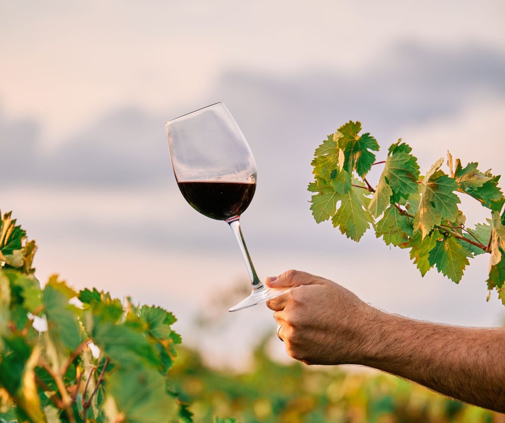 Az ország legjobbjai között a mátrai borok