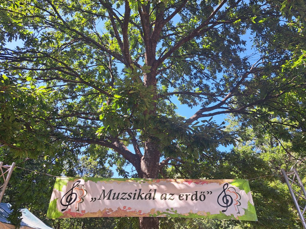 „Ahol az erdő és a zene összefonódik” – Sástón Muzsikált az Erdő