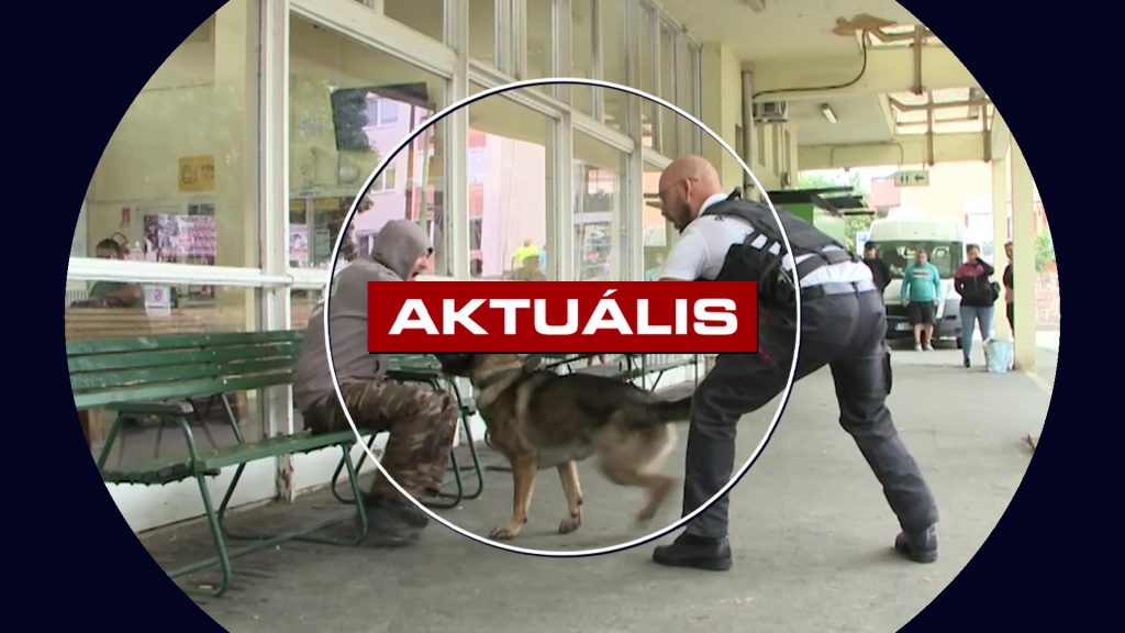 Rendőrkutyák lepték el a buszmegállót (Aktuális – 2025.07.10.)