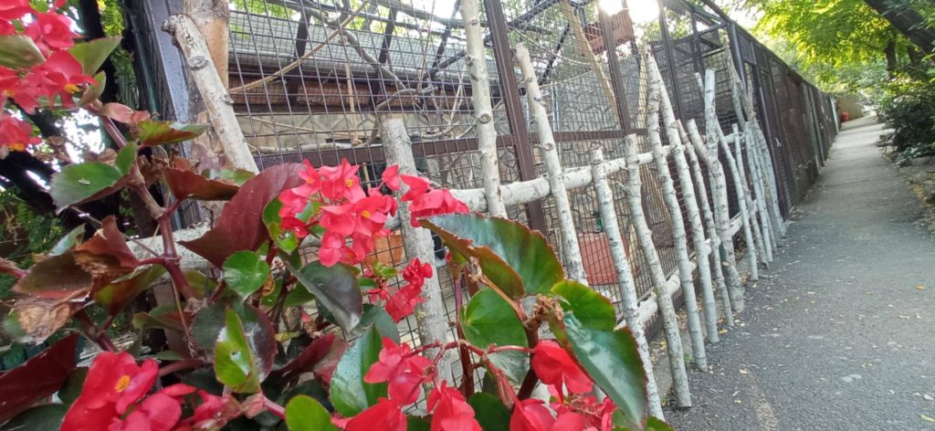 Már körvonalazódik, kik költöznek városunkba