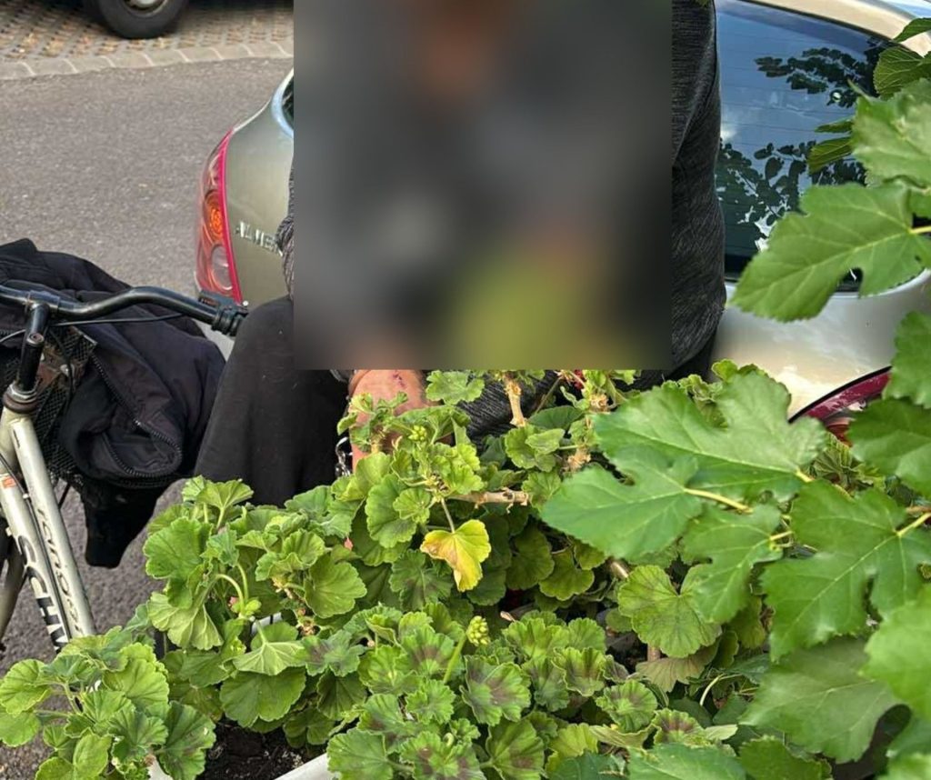 Muskátlitolvajt fogtak