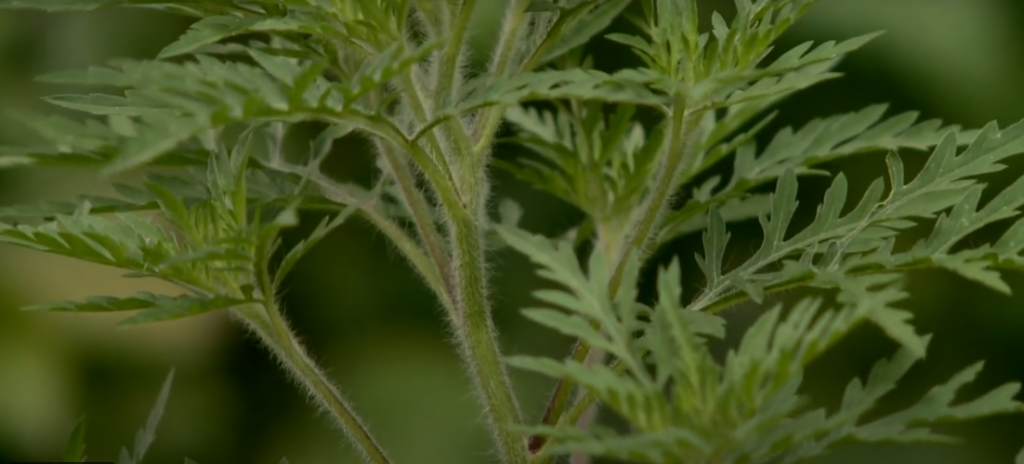 10 éve történt Gyöngyösön: