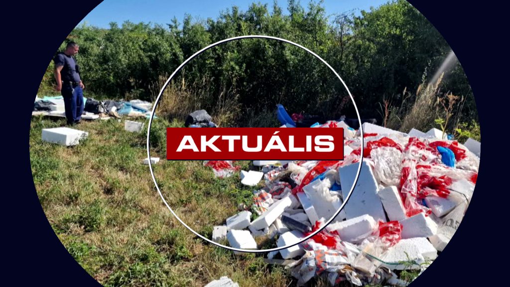 Illegális szemetelőket fogtak el a városrendészek – Aktuális 2025.08.18.