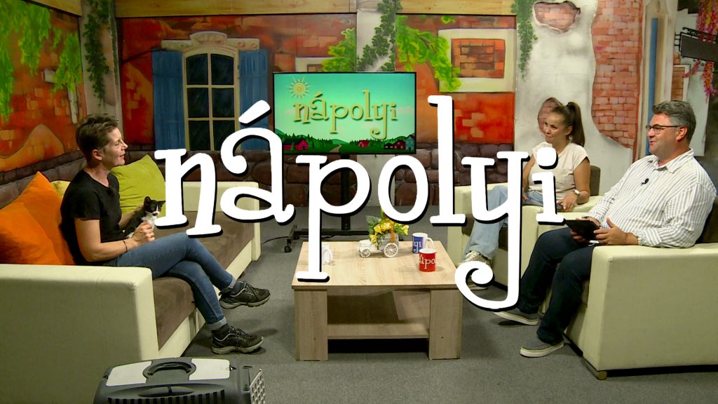 Kóbor állatok: Mire figyeljünk és mit tehetünk?