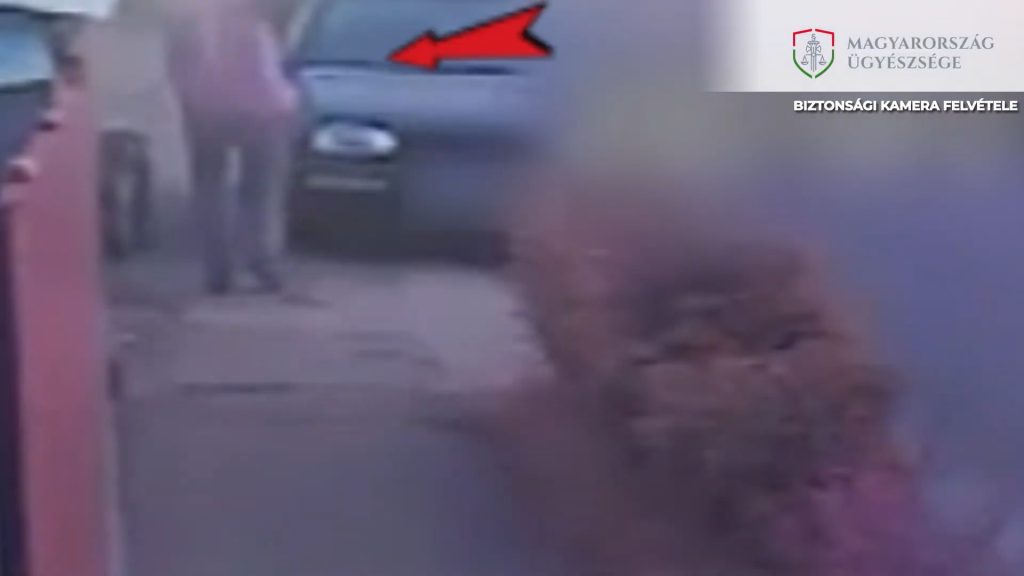 Kutyát sétáltatott, majd bosszút állt (videó)