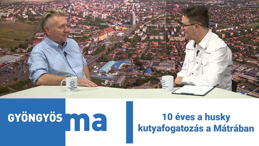 10 éves a husky kutyafogatozás a Mátrában