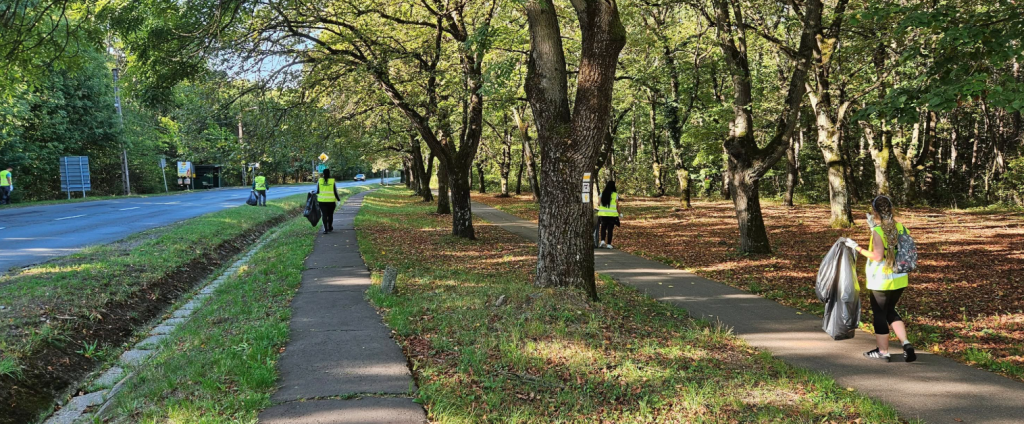 Csaknem 26 zsák hulladékot gyűjtöttek az önkéntesek  