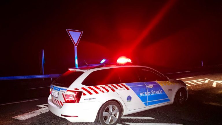 Egész nap csak lopott – elkapták a rendőrök