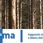 Aggasztó változások a Mátra élővilágában